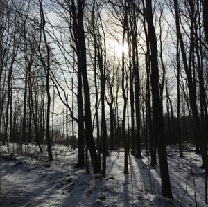 a beautiful winter walk in the Catskills